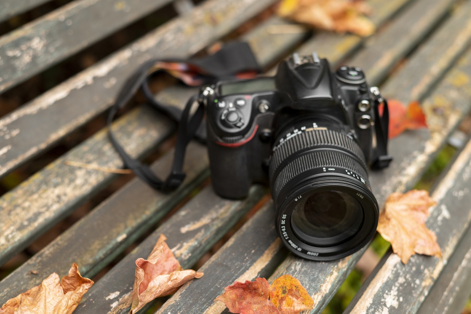 Digital Cameras